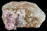Cobaltoan Calcite Crystal Cluster - Bou Azzer, Morocco #108747-1